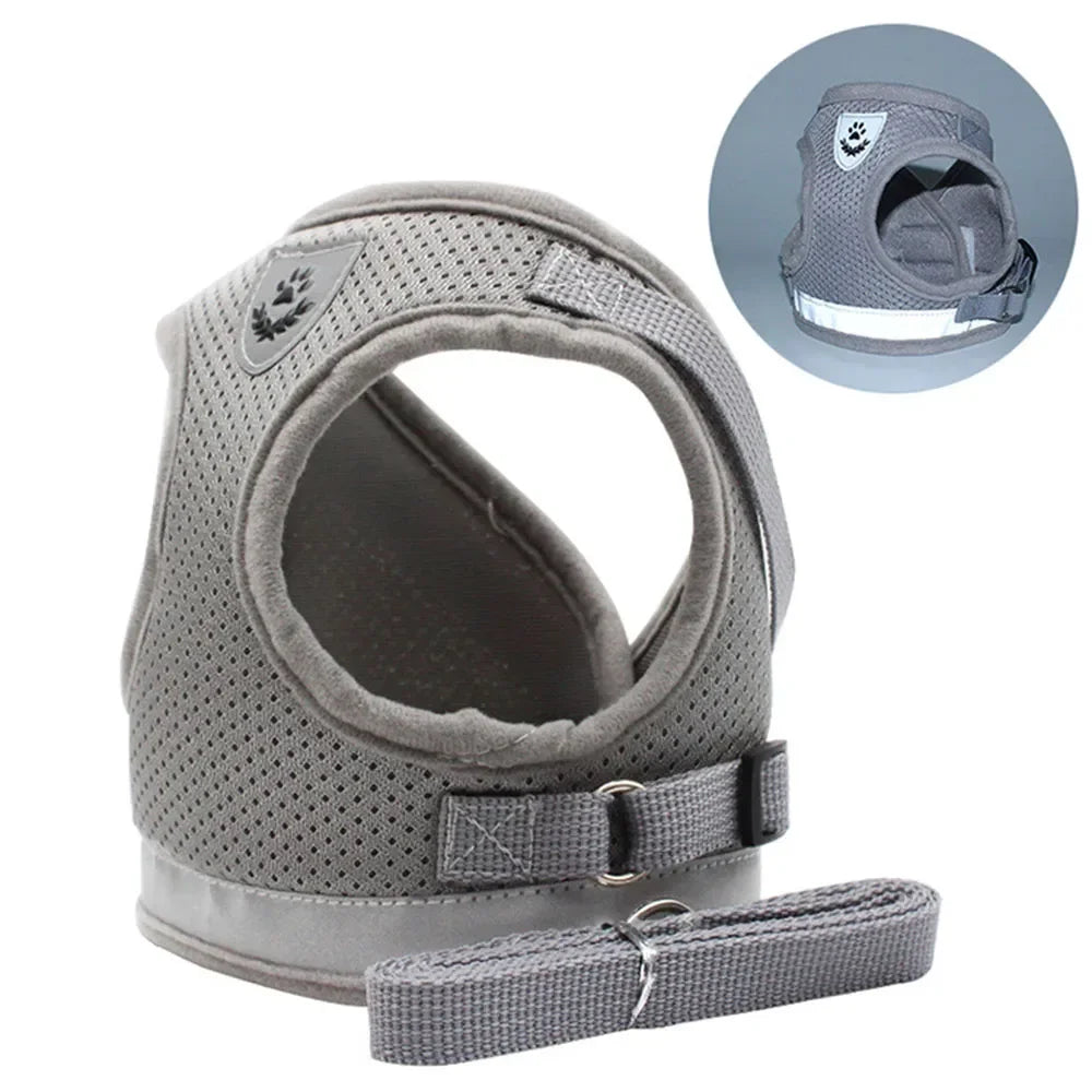 Adjustable Reflective Cat & Dog Harness Set