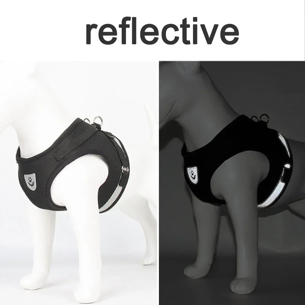 Adjustable Reflective Cat & Dog Harness Set