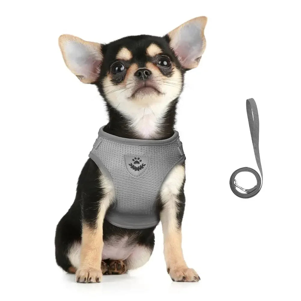 Adjustable Reflective Cat & Dog Harness Set
