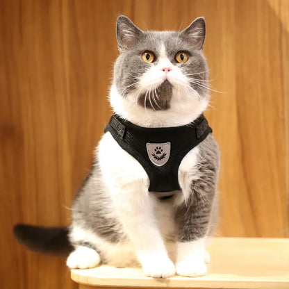 Adjustable Reflective Cat & Dog Harness Set