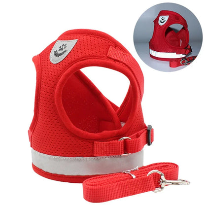 Adjustable Reflective Cat & Dog Harness Set